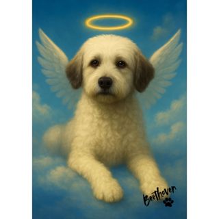 Quadro Homenagem Pet – Estilo Céu com Auréola e Asinhas em Oferta na Shopee
