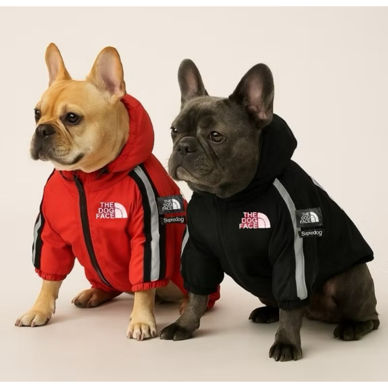 🐾 Capa de Chuva para Pet com Capuz – Impermeável e Estilosa