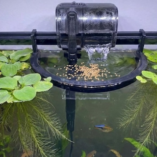 Anel Flutuante Aquário Filtro Hang On - Proteção Plantas Superfície e Comedouro - Salvinia Pistia em Oferta na Shopee