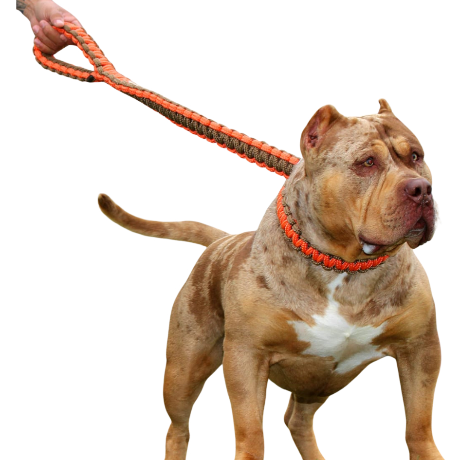 Guia Cachorro Grande Porte Reforçada Resistente Pitbull Rottweiler Pastor Alemão