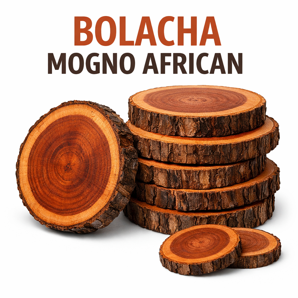 Bolacha de Madeira Rustica Mogno Africano 100% Natural de 20 a 24 cm 1Pç