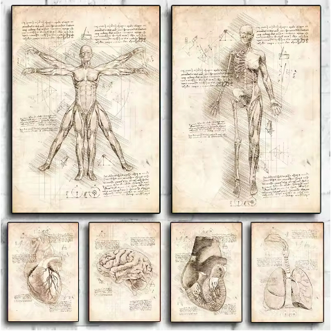 Kit 10 Quadros Decorativo Anatomia Corpo Humano Leonardo da Vinci Decoração Vintage