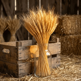 Trigo Seco Natural 40/80/160/200/400 Hastes – P/Decoração Rústica, Arranjos e Vaso Decorativo em Oferta na Shopee
