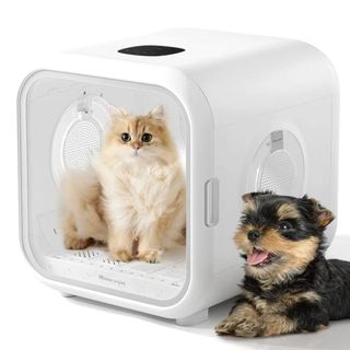 Caixa De Secagem Automática Ultra Silenciosa Para Cães/gatos Branco 127v