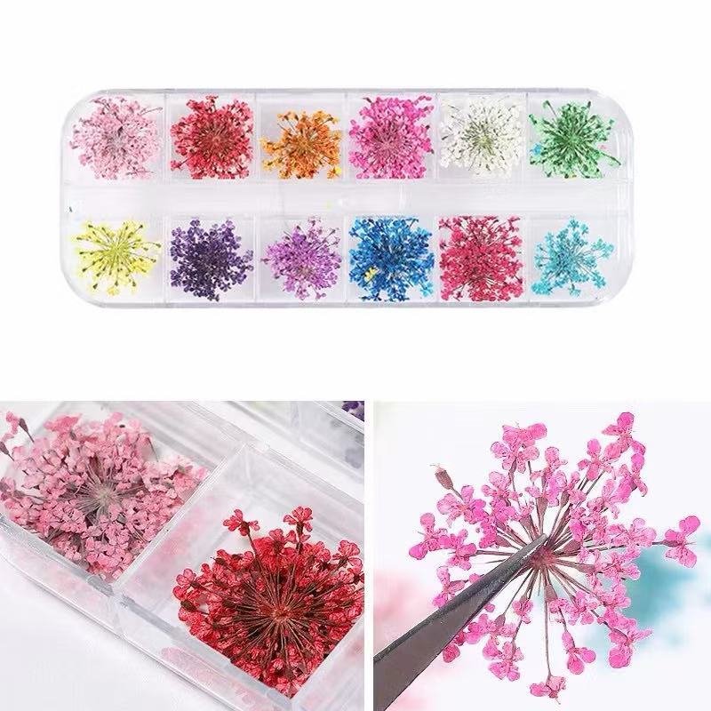 12 Cores Flores Secas para Unhas Nail Art Encapsulada Decoração Gel Acrílico