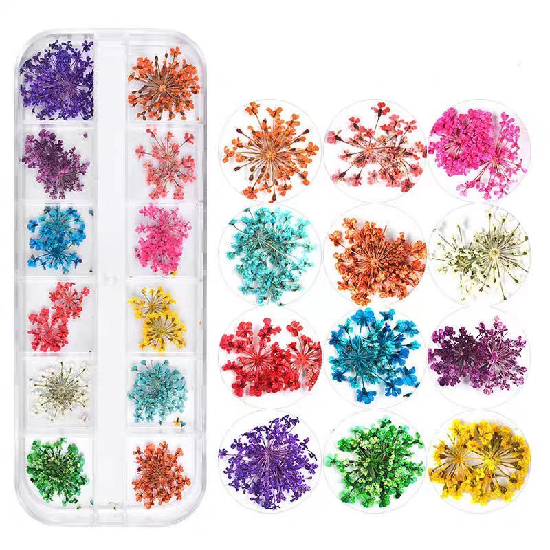 Flores Secas Para Decoração De Unhas 12 Cores Encapsulamento