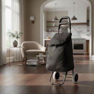 Carrinho De Compras Feira Supermercado 2 Rodas Reforçados e Dobrável 30kg - Mor em Oferta na Shopee