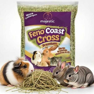 Feno Majestic Pet Coast Cross Para Roedores - 1 Kg em Oferta na Shopee