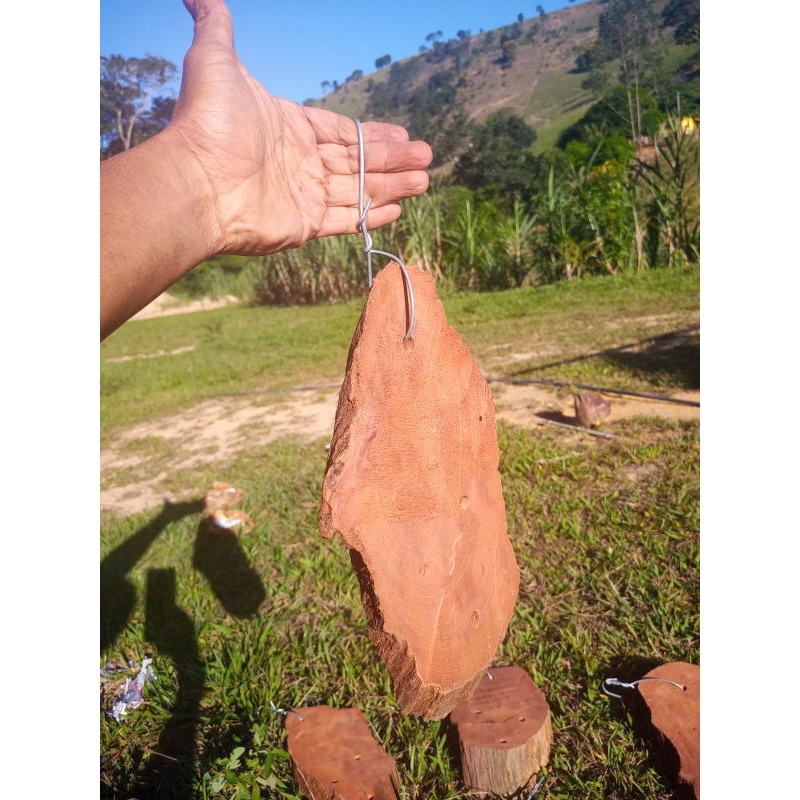 kit 5 placas em madeira peroba rosa para plantio de orquídeas