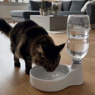 Bebedouro Automático para Cães e Gatos - Fonte por Gravidade (Garrafa PET) em Oferta na Shopee