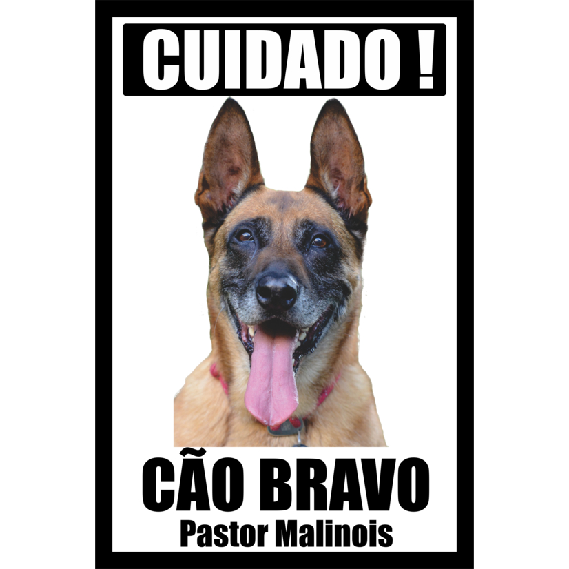 Placa Cuidado Cão Bravo Pastor Malinois Aviso Perigo Cão Segurança Portão Casa Quintal Cachorro Bravo tam 20x30cm mod1 P