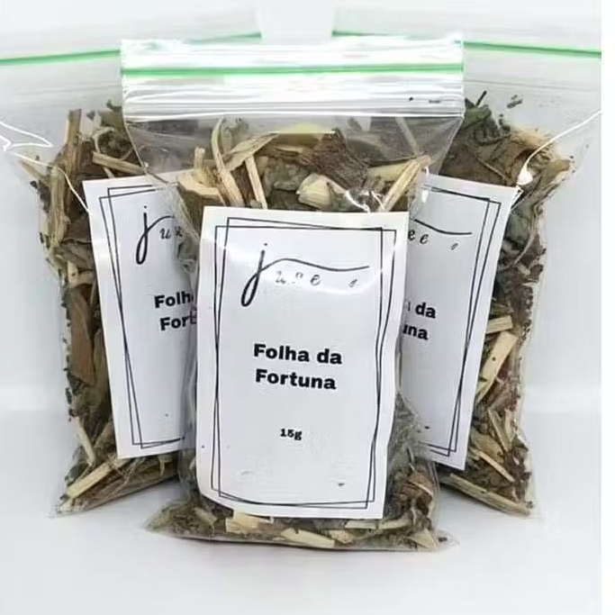 Folha da Fortuna | Kit 3, 4 ou 6 Pcts 15g cada | Prosperidade | Ewe abamoda em Oferta na Shopee