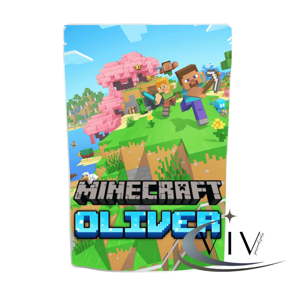 SAQUINHO ZIPLOCK 10x15 Minecraft – STAND UP POUCH PERSONALIZADO - lembrancinha | mimo | aniversário