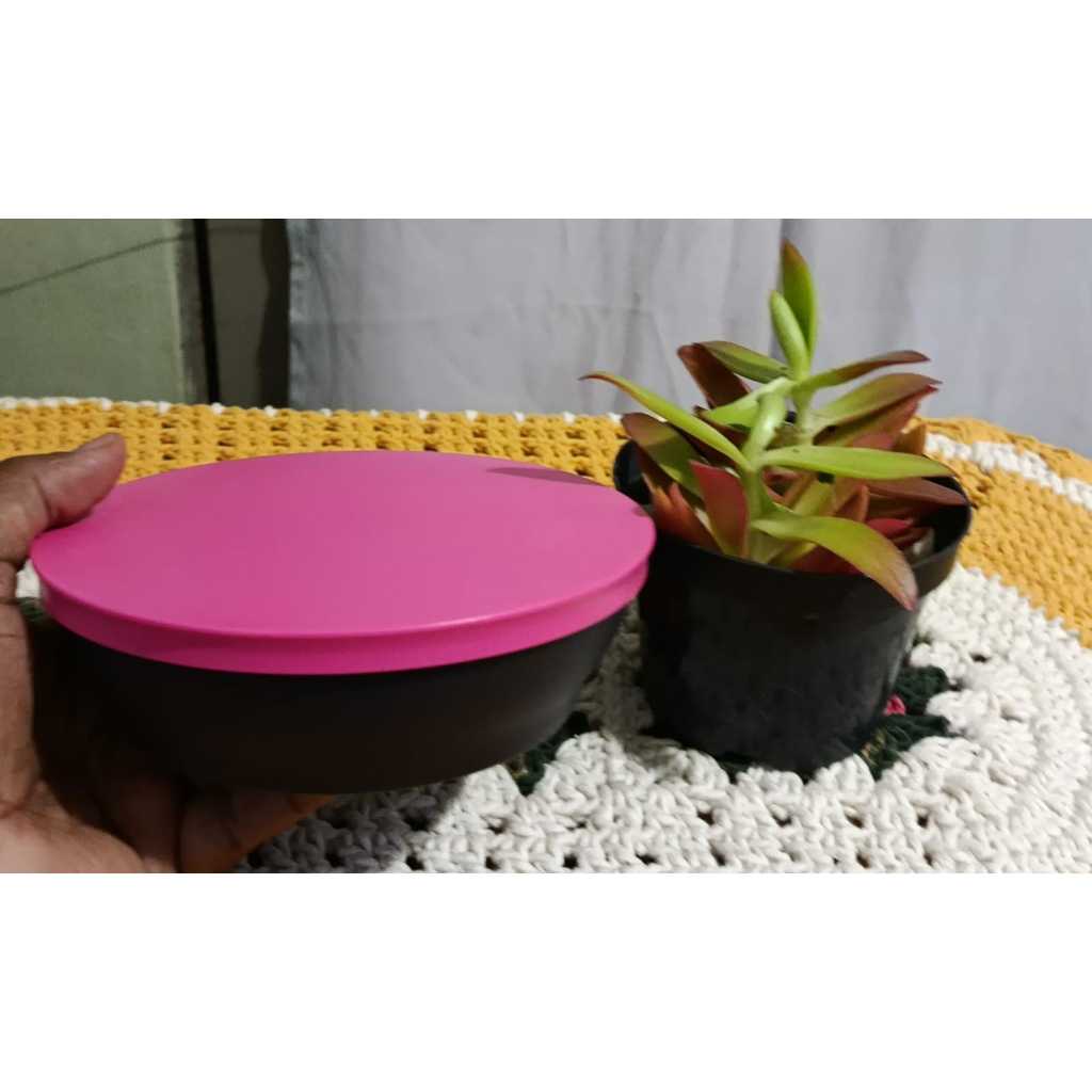 Tigela Zen Line 450ml Tupperware