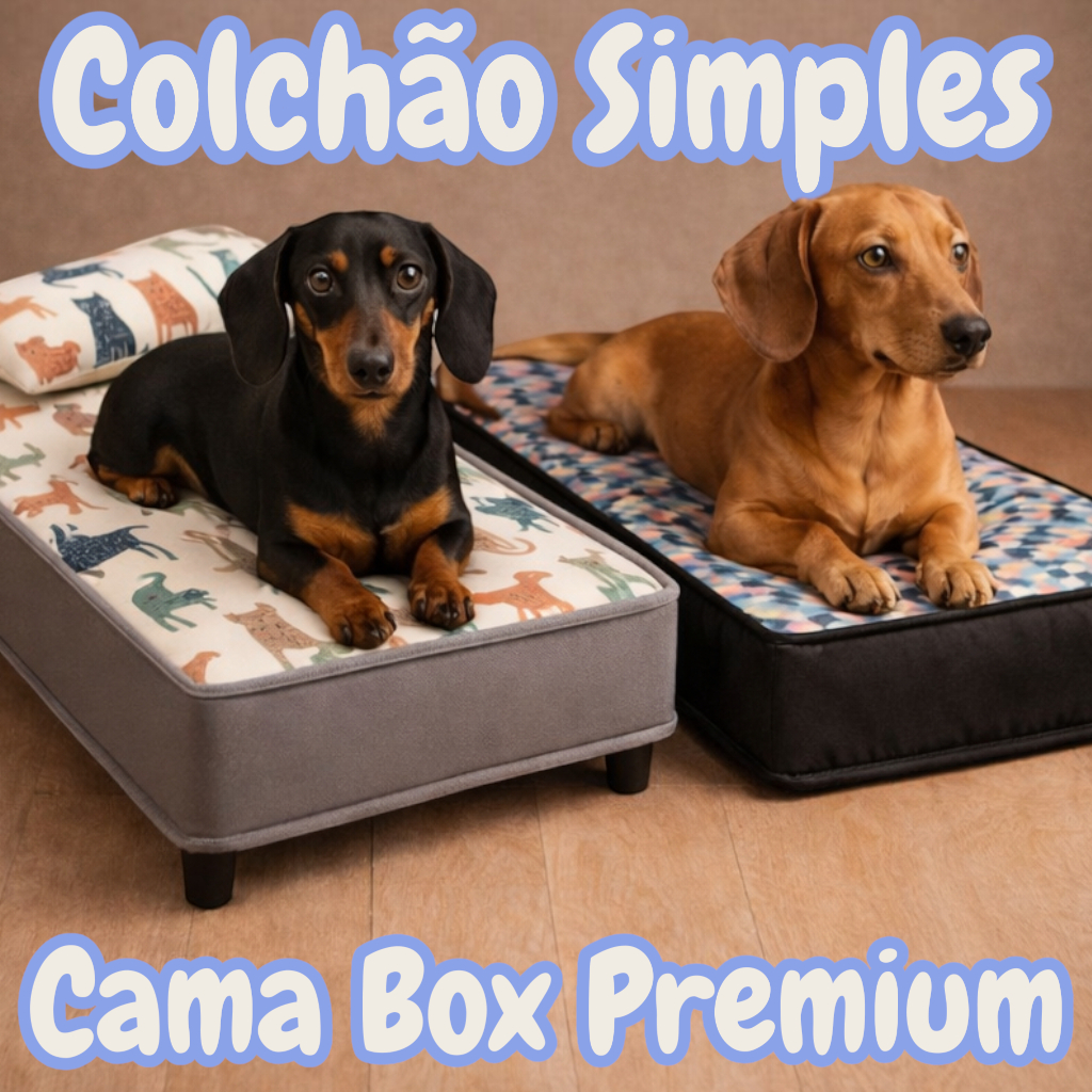 Cama Box Ortopédica Impermeável para Cachorro