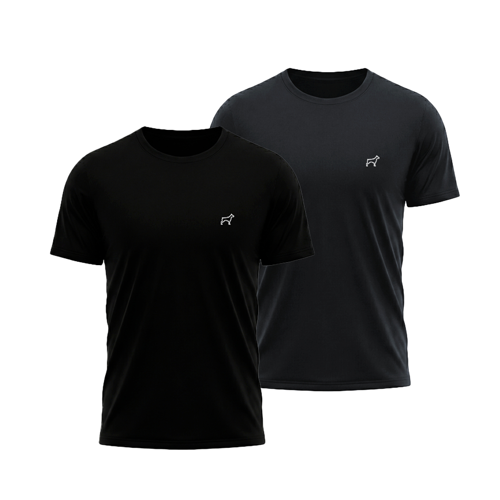 Kit 2 Camisetas Masculina Dry Fit Parvori - Academia Treino Esporte Corrida