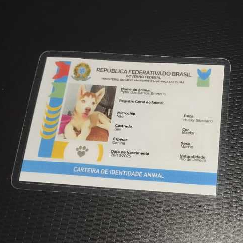 Rg Pet Personalizado Cachorro e Gato | Identidade Pet Foto | Plaquinha Pet | Documento Pet — R$ 11,90 em Shopee