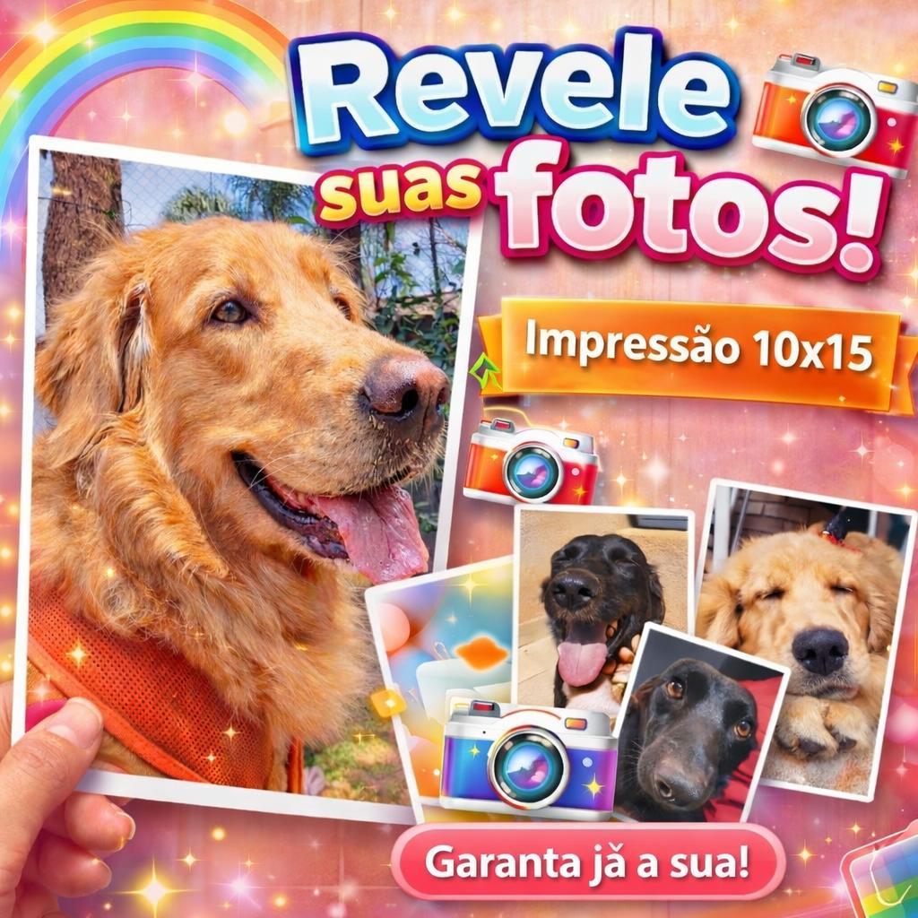 Revelação Kit Com 100 Fotos 10x15 Impressão Premium em Oferta na Shopee