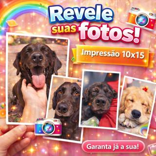 Revelação Kit Com 100 Fotos 10x15 Impressão Premium em Oferta na Shopee