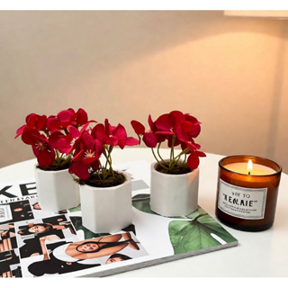 Kit com 3 arranjos no vaso de gesso modelo octógono (Hortência) em Oferta na Shopee