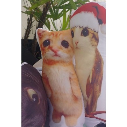 Almofada contornada decorativa, divertida, presente, memes e personagens. Tamanho 30 cm. em Oferta na Shopee