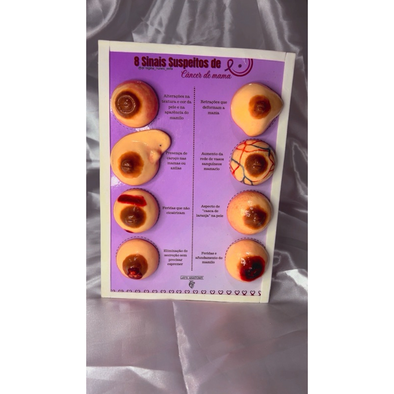 Macromodelo didático de saúde da mulher