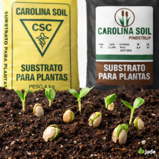 Substrato Carolina Soil , Terra Adubada , Humos De Minhoca terra adubada carvão triturado faça a sua escolha abaixo em Oferta na Shopee