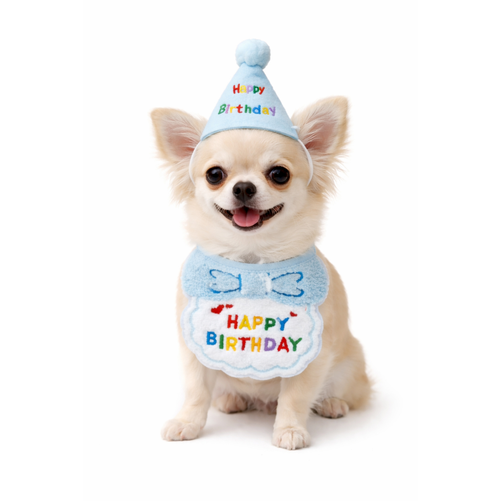 Kit Aniversário Pet Cachorro Azul – Babador Atoalhado + Chapéu Festa