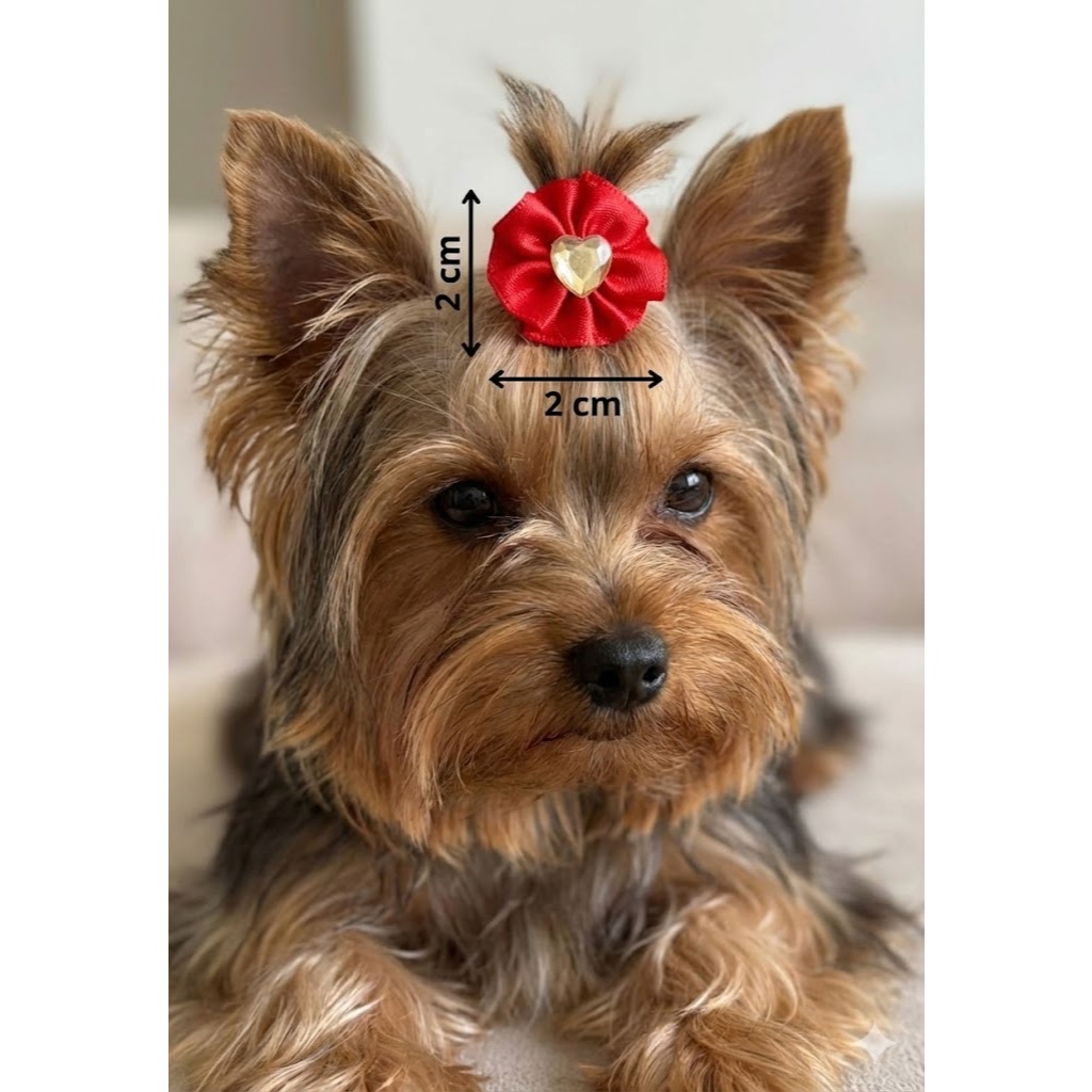 Laço Pet Tipo Fuxico  P - Kit com 10 / 20 UN - banho e tosa e pet shop