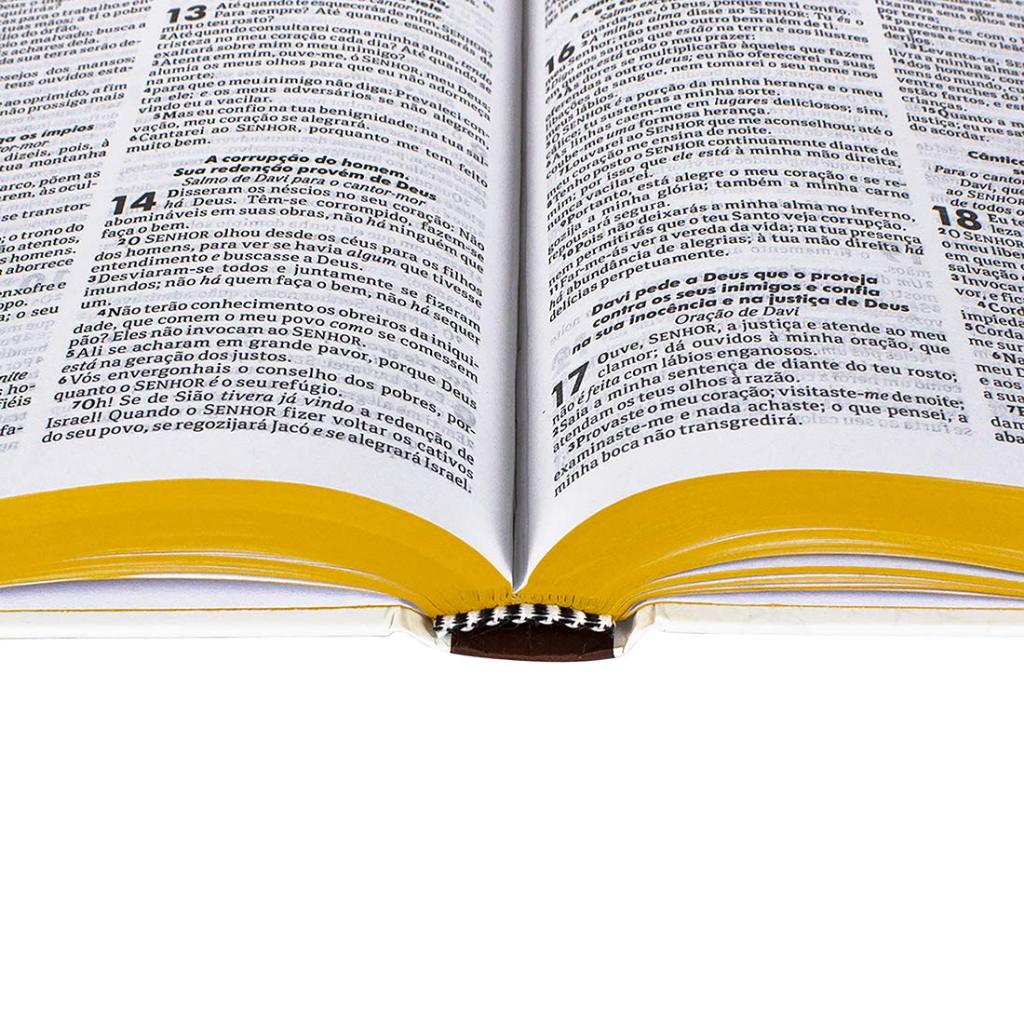 Capa Dura Bíblia Sagrada para Evangelismo Passaro ARC · foto 2