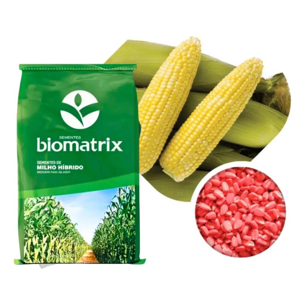 Semente De Milho Biomatrix 1kg - Milho Verde, Milho de Pamonha, Milho Doce em Oferta na Shopee