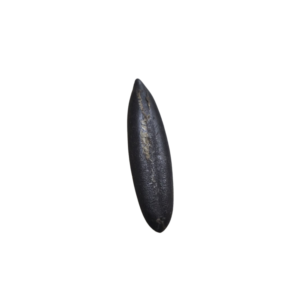 Fava De Exu / Dedo De Exu - Unidade / 3 Unidades / 7 Unidades