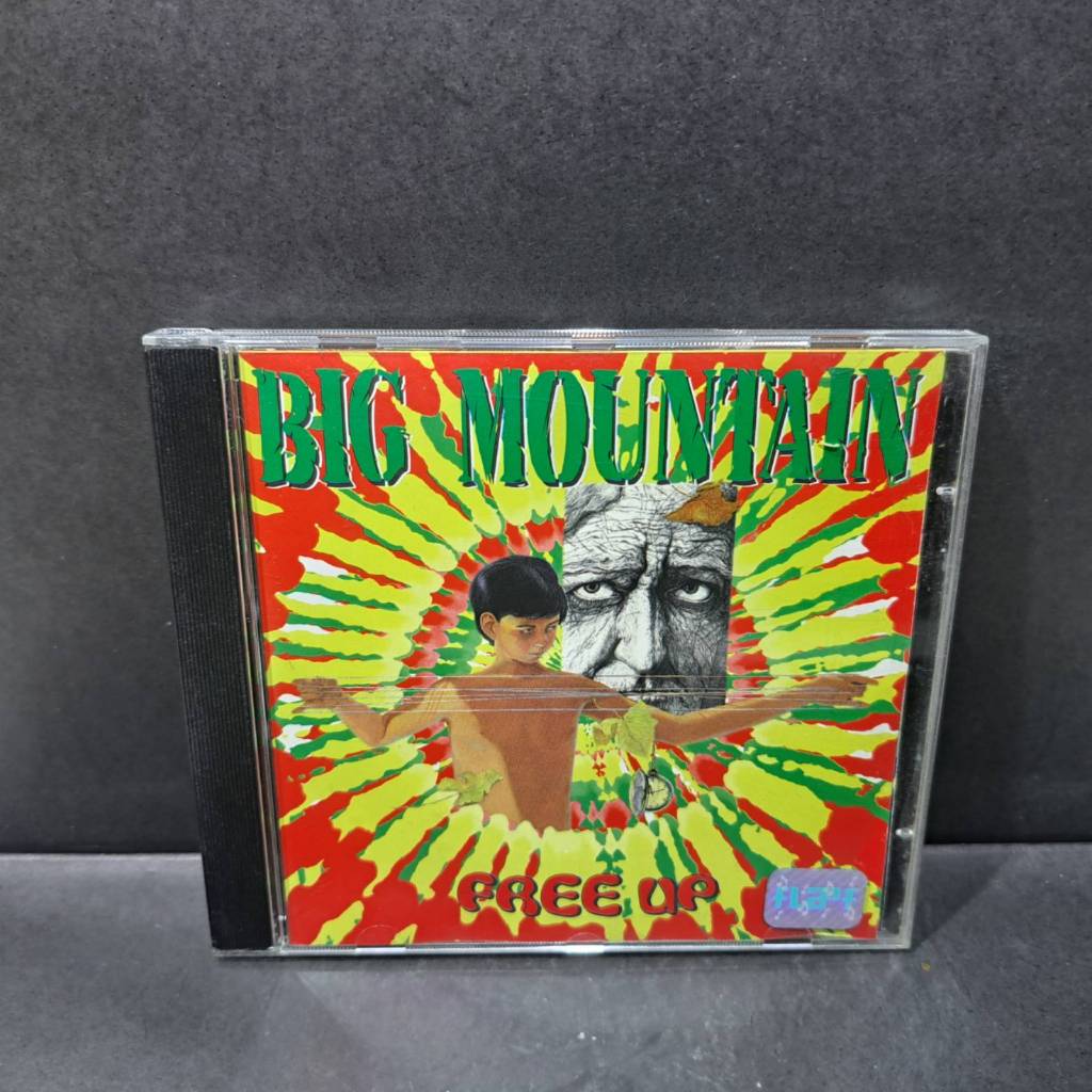 CD Big Mountain/ Free Up