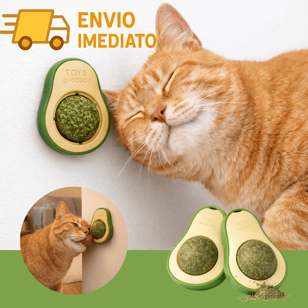 1/2/3/4 Abacate De Brinquedo Para Gatos Com Catnip - interativo Erva do Gato Natural