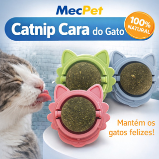 Brinquedo Interativo Para Gato Antiestresse Catnip Erva Gato em Oferta na Shopee