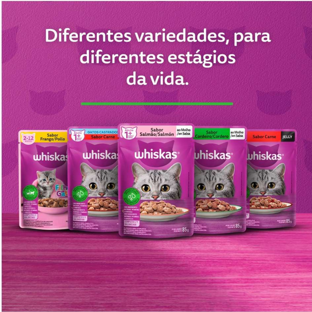WHISKAS SACHÊ FILHOTES GATO 85G SABOR CARNE/FRANGO OU MIX KIT 10 UN — imagem 2 de 2