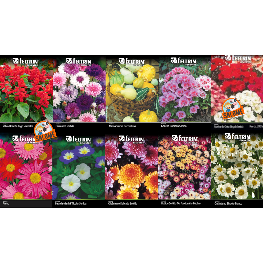 Kit Sementes de Flores Nova Versão - 10 Variedades - Sementes Feltrin em Oferta na Shopee