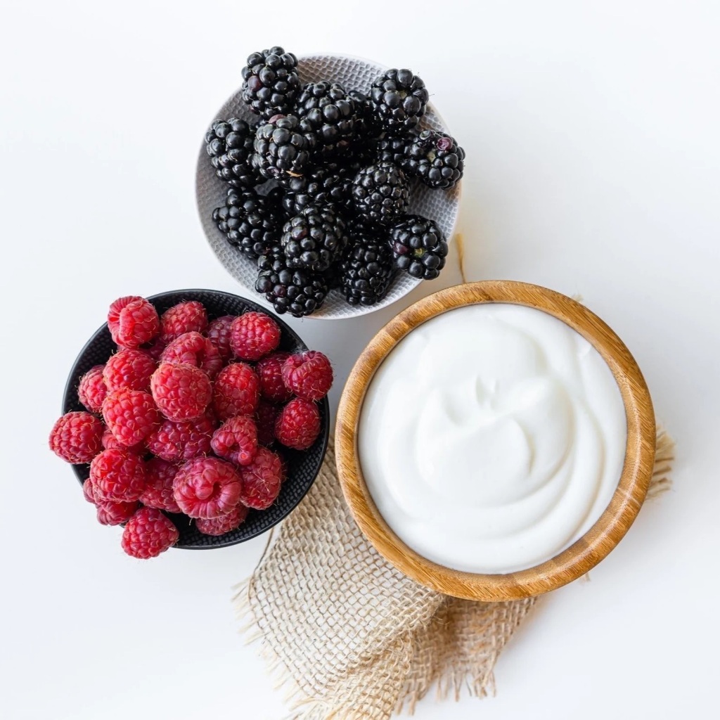 Bulgaricus Natural Iogurte Bulgaro Probiótico Desidratado (Yoghurt Infinito)