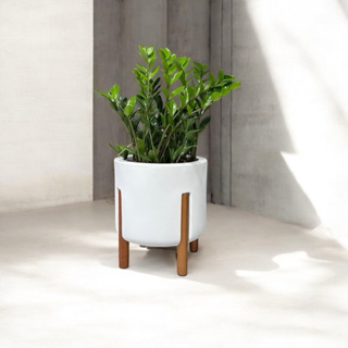 Vaso De Planta Mônaco Pequeno (30CM) // Cilíndrico com pé em Madeira Design Moderno em Oferta na Shopee