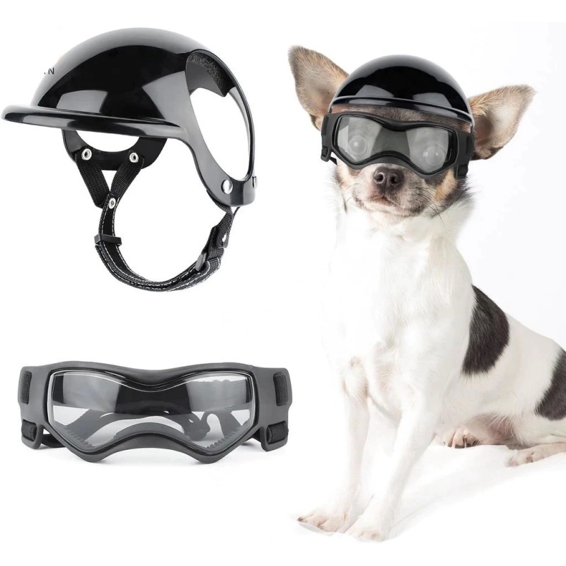 Capacete e Óculos para Cachorro - Protetor para Moto e Aventuras, Proteção UV e Ajustável