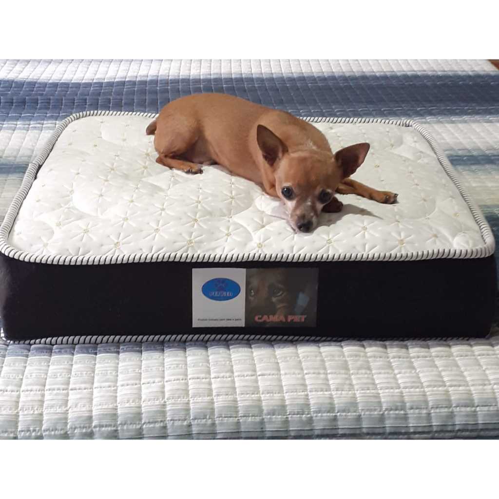 Colchão Caminha pets Raças Pequenas - COLCHOPET - 50x40x8cm - para Cães e Gatos.