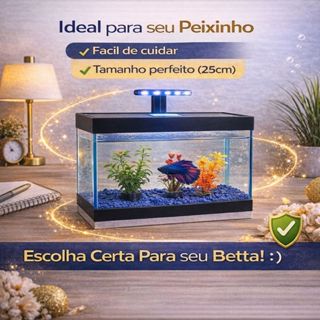 Aquário Decorado para Betta 25cm Pronto para Uso com Pedra e 3 Plantas em Oferta na Shopee