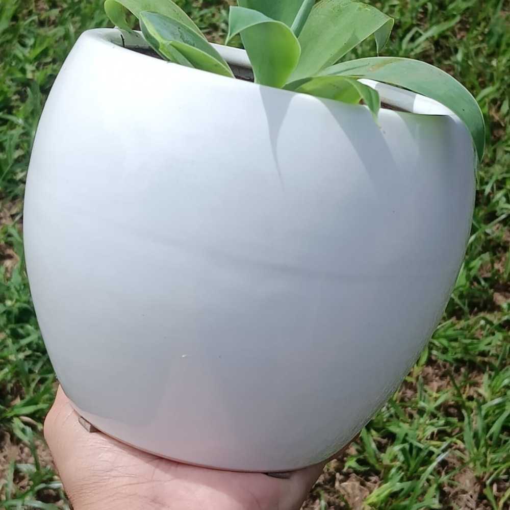 Esmalte Cerâmica  Ateliê Decoração Temperatura Mista Branco Oxid - 250ml