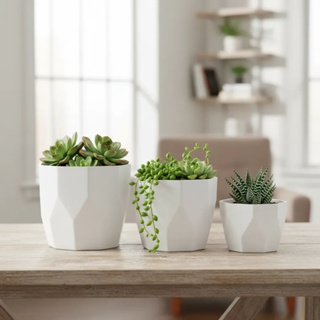 Kit Jogo 3 Vasos para Plantas Decorativo Cachepô Liso Injetado Centro Mesa Suculentas Cactos em Oferta na Shopee
