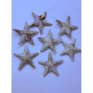 10 Estrelas Fundo do Mar em Resina 4cm em Oferta na Shopee