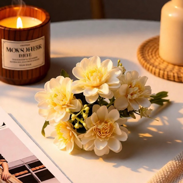 Buque de Peonia: Onde Comprar | BuscaProdutos