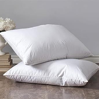 TRAVESSEIRO SOFT SUPER MACIO 50X70cm PLUMA DE GANSO em Oferta na Shopee