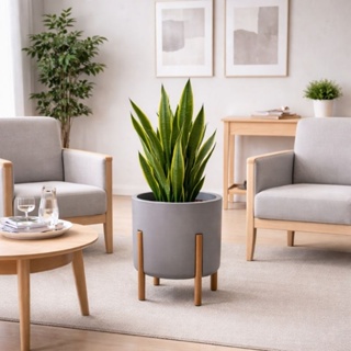 Vaso Nordico Monaco (G) com pés de madeira Envernizada em Oferta na Shopee