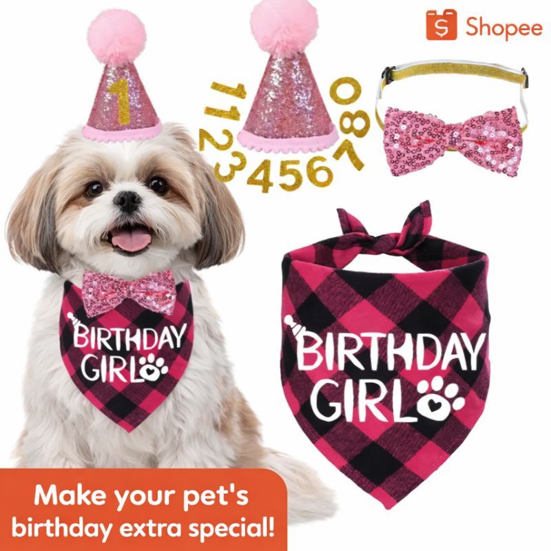 Kit Aniversário Pet Cachorro (4 Peças) Bandana Xadrez Festa