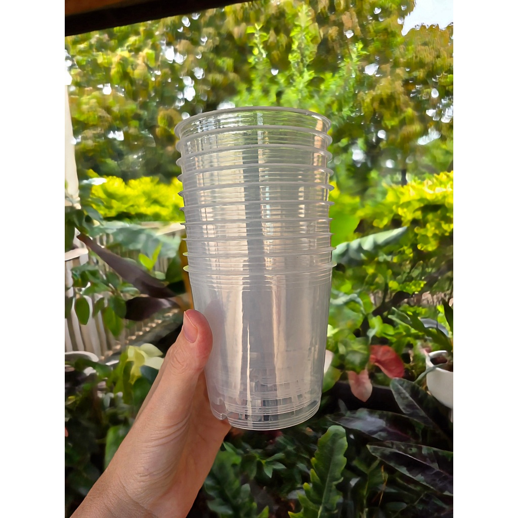 Kit 10 Vasos Transparentes tam.9 - Orquídeas, Anthurium, Philodendron E Planta Ornamental - ideal pra ver o enraizamento